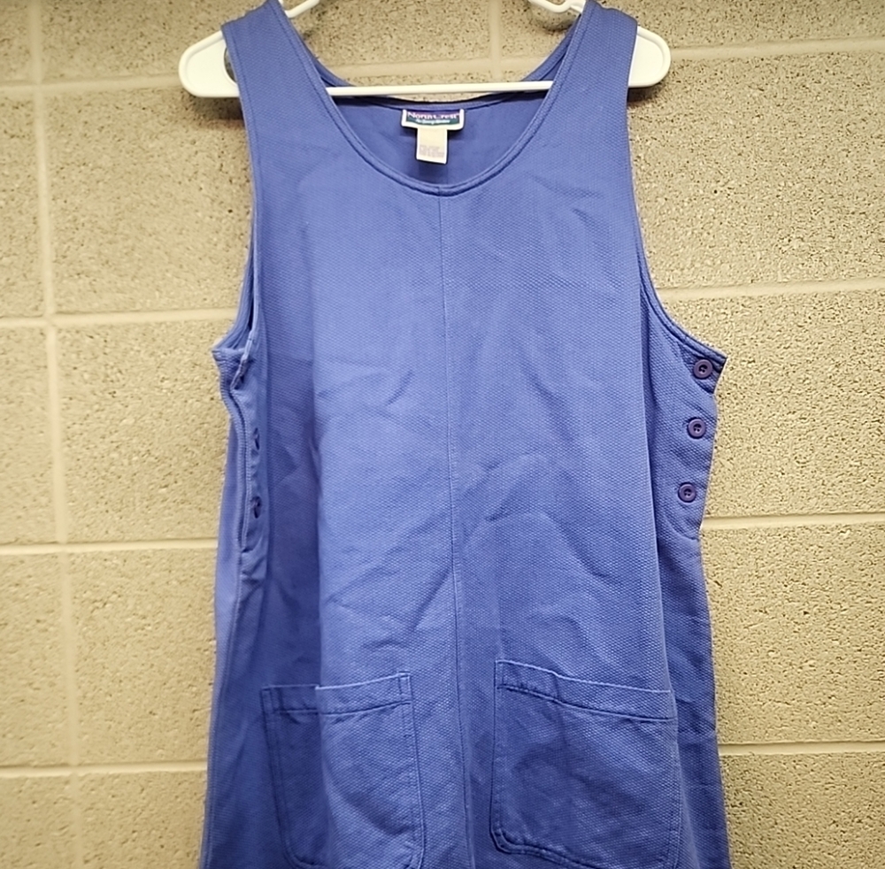 Northcrest the Spirit of Adventure 100% Cotton Large (14-16) Blue Dress